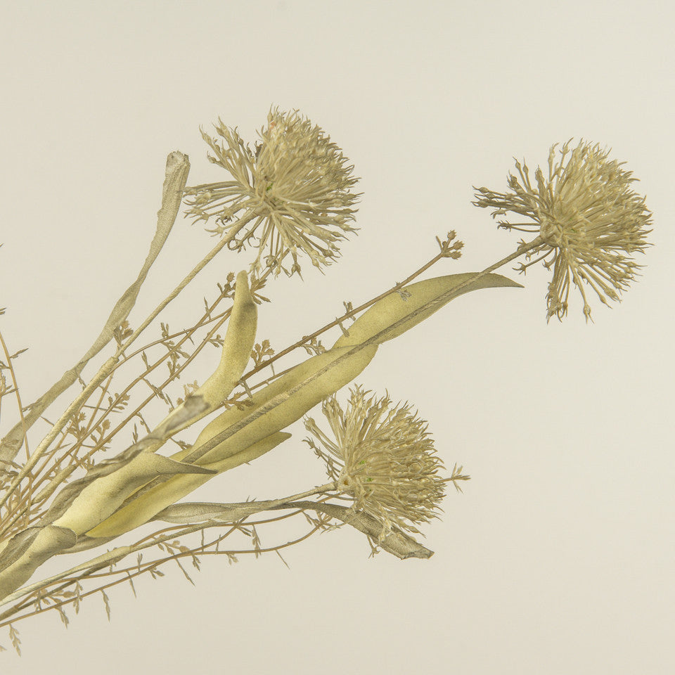 Faded Allium Blossom Spray