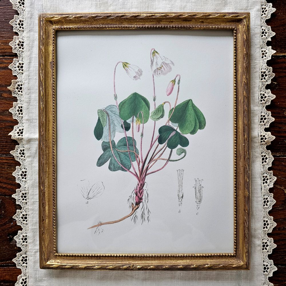 Vintage Gold Twist Picture Frame with Shamrock Print