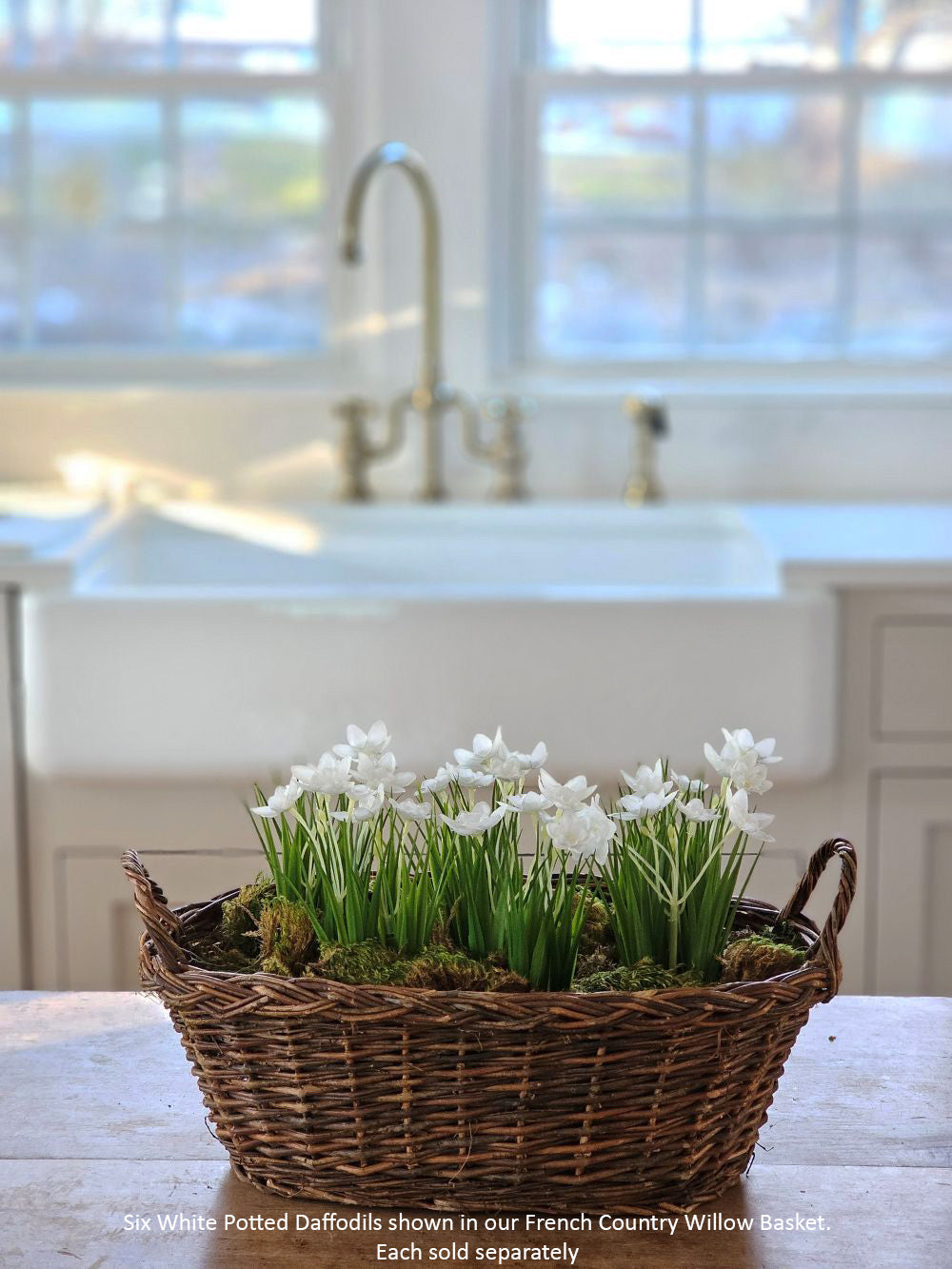 Potted White Daffodils
