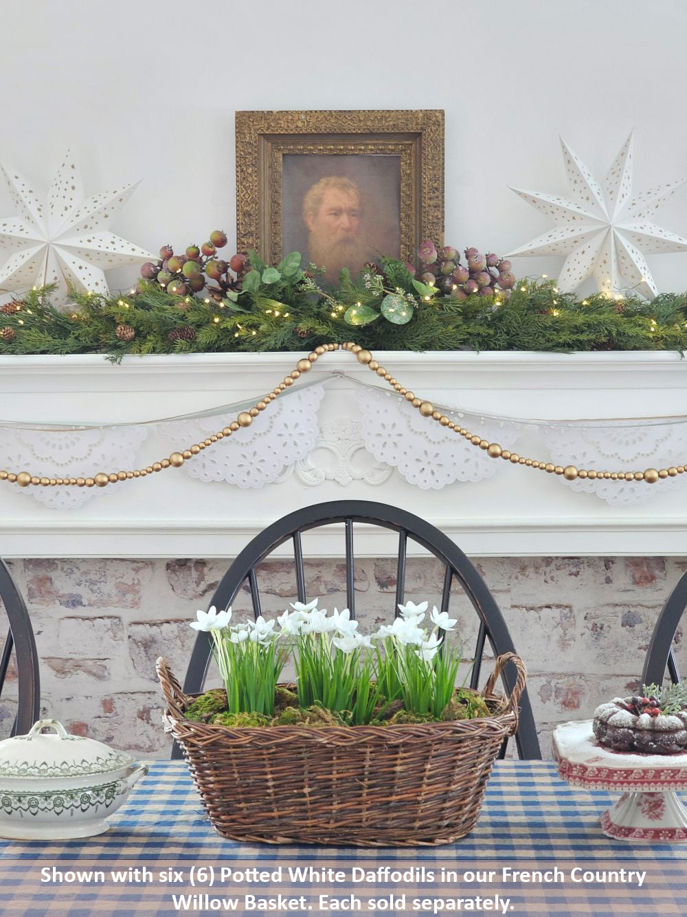 Potted White Daffodils