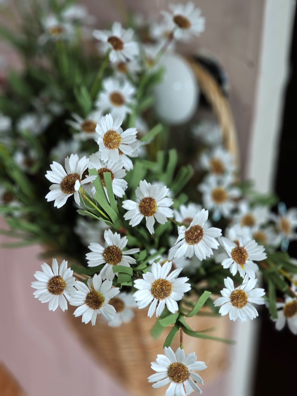 White Mini Daisy Bush