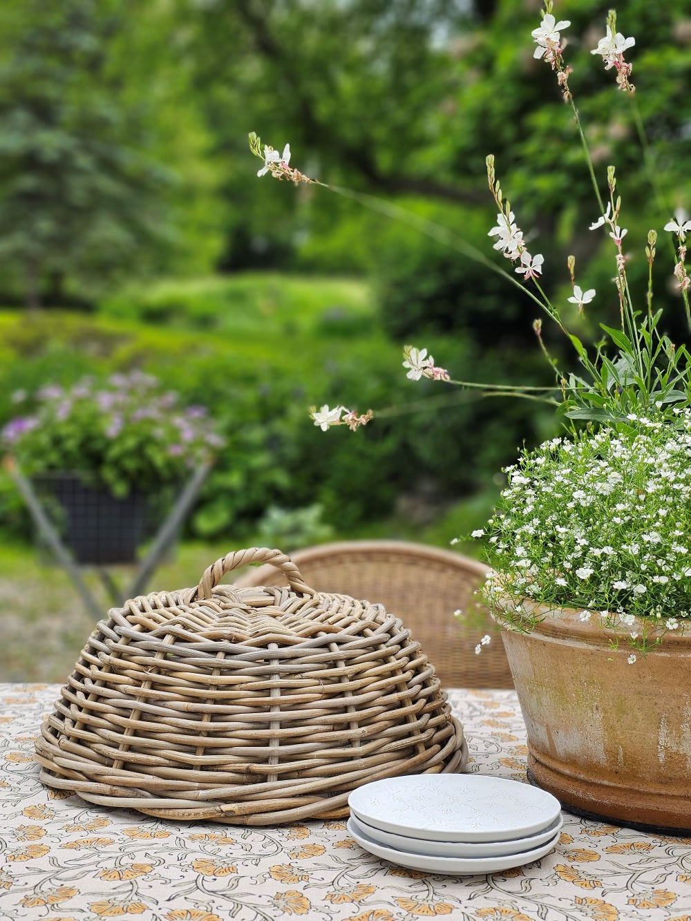 Wicker Food Cover Cloche